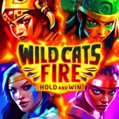 Wild Cats Fire
